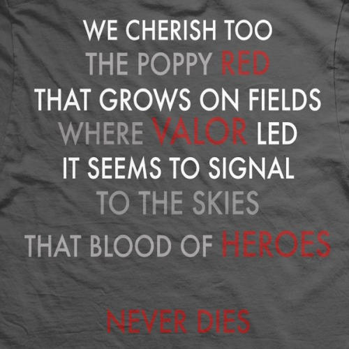 Ranger Up Paratrooper Poppy Field Memorial T-Shirt price